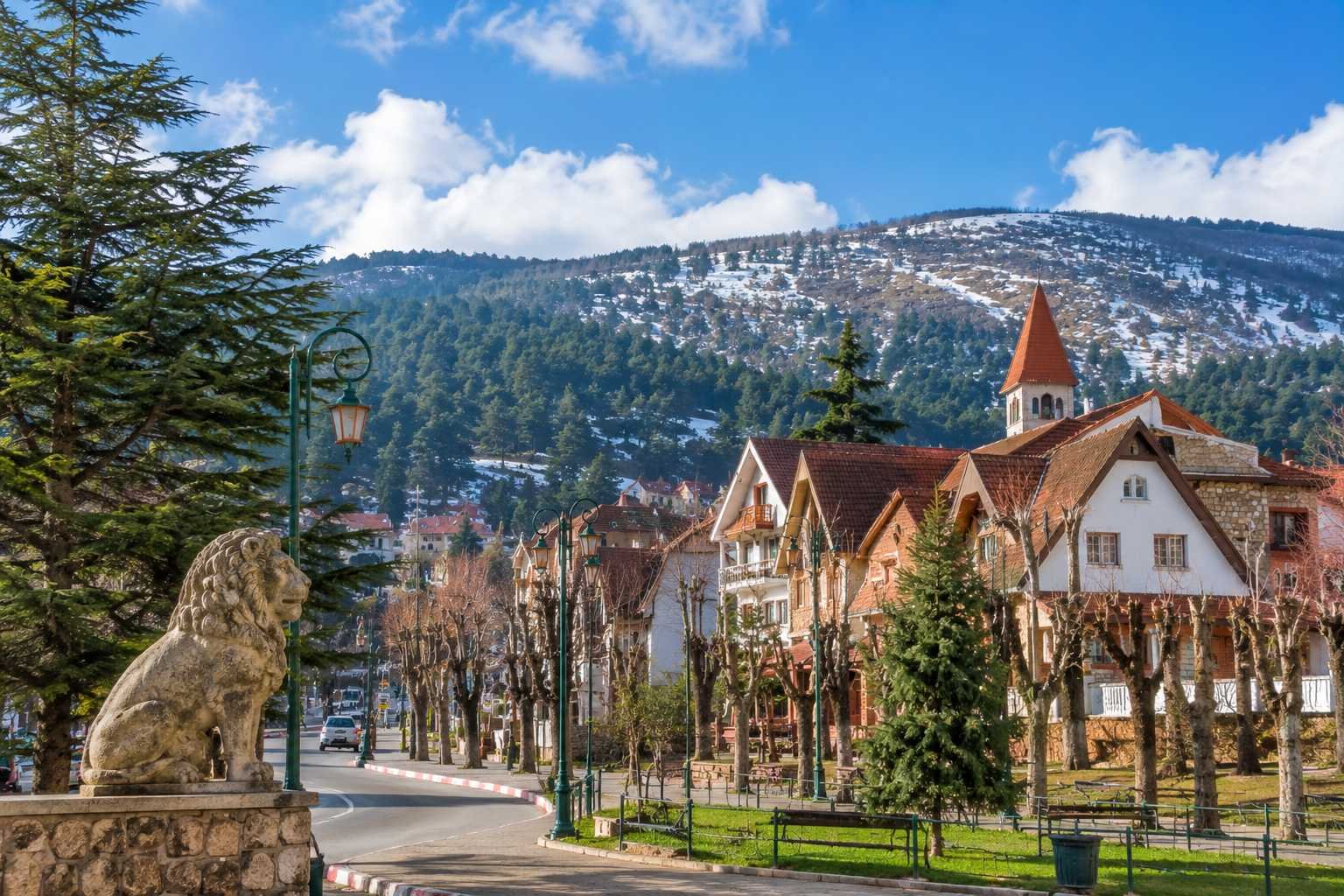 Middle Atlas Ifrane and Azrou Day Trip From Fes