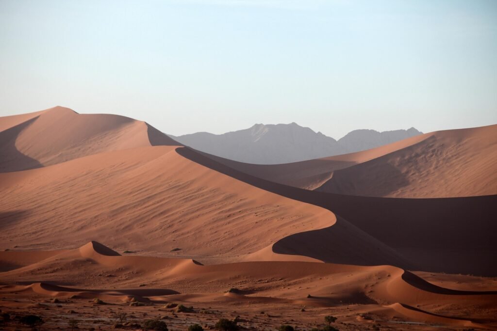 Sahara Desert in Winter