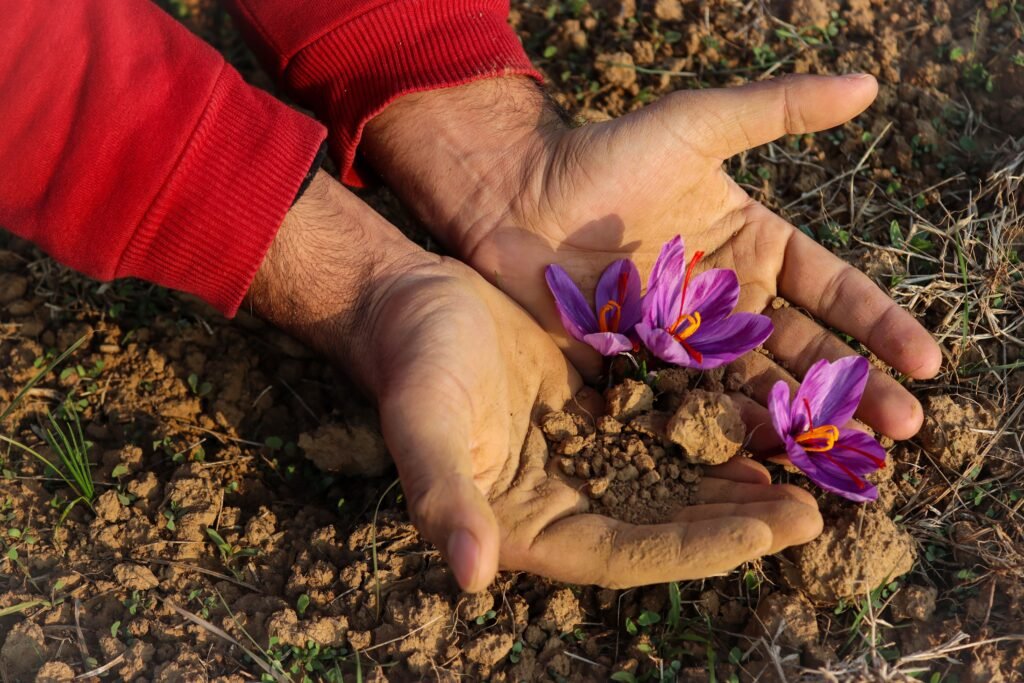 Taliouine Saffron Festival