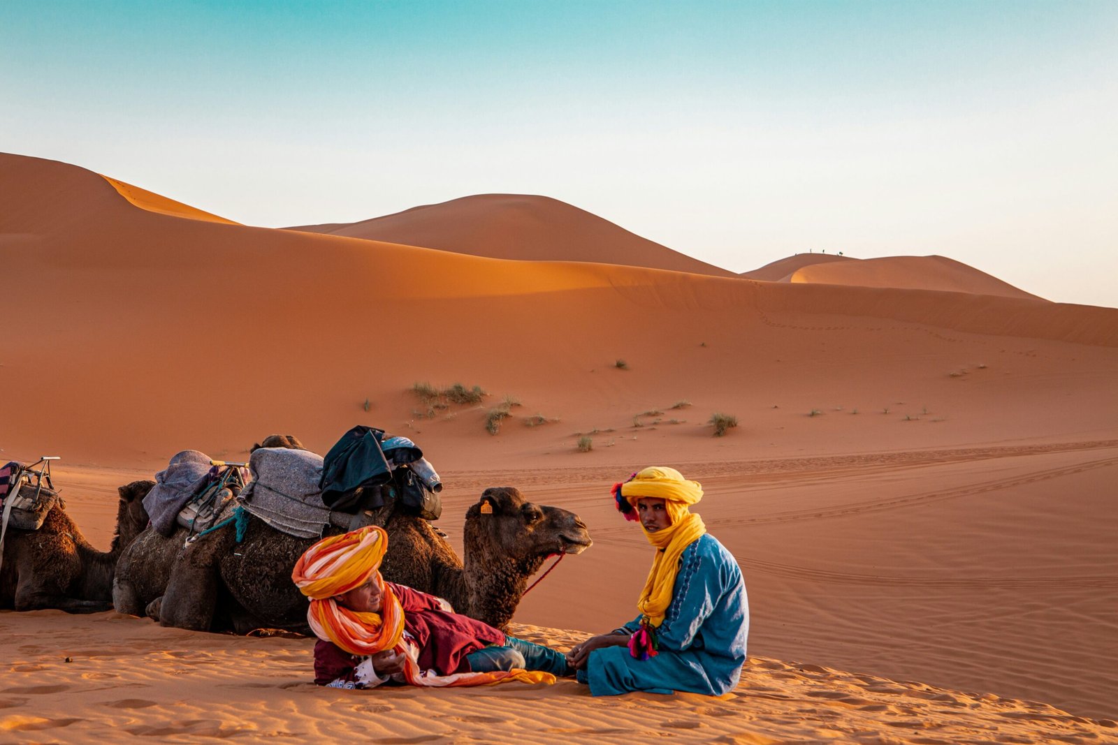 Sahara Desert in Winter