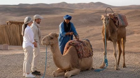 Agafay Camel Ride and Sunset Tea