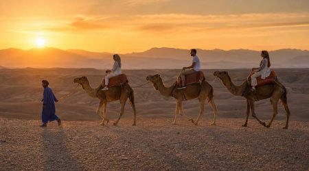 Agafay Camel Ride and Sunset Tea